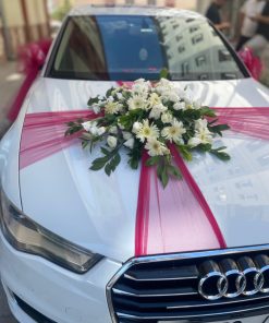 Beyaz Gerbera Sisleme