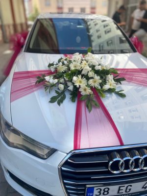 Beyaz Gerbera Sisleme