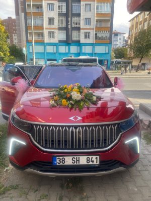 Karışık Otrafya Araç Süsleme