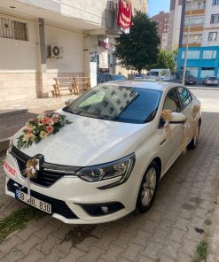 Karışık Otrafya Araç Süsü