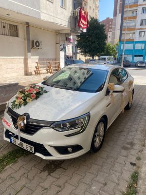 Karışık Otrafya Araç Süsü