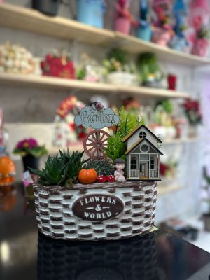 telaryum & cam fanus