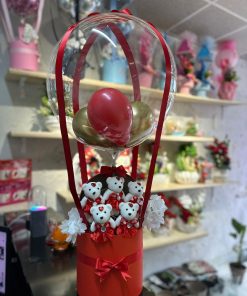 AYICIKLI BALON ARAJMANI